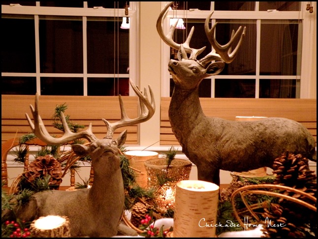 Deer, Stag centerpiece at Chickadee Home Nest