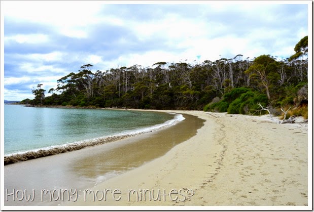 How Many More Minutes? ~ Fishers Point Walk, Tasmania, part one