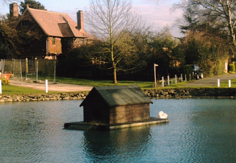 duck-pond-roundabout-2