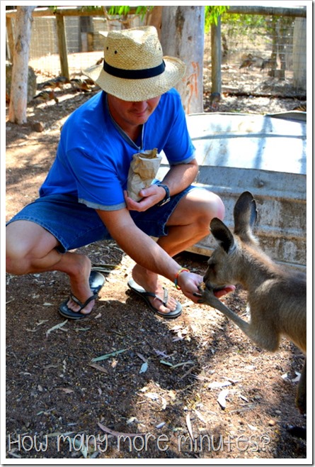 Billabong Sanctuary | How Many More Minutes?