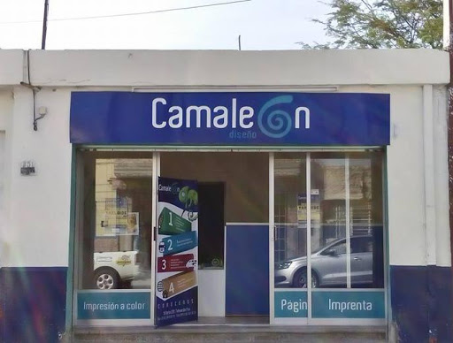 Camaleon Diseño, Calle 5 Nte. 231, Centro de la Ciudad, 75700 Tehuacán, Pue., México, Diseñador gráfico | PUE
