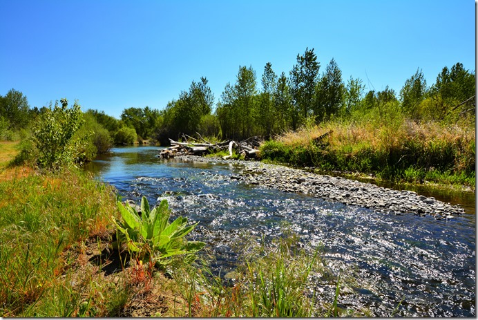 John Day River View 2