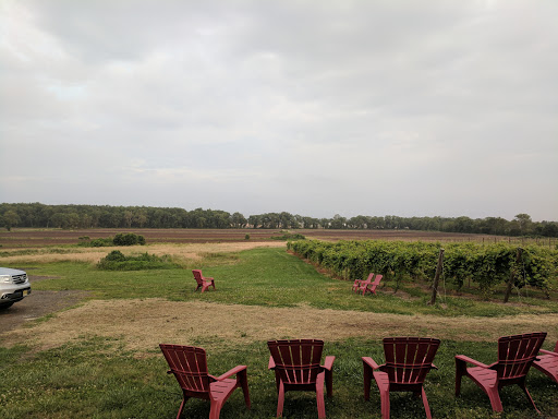 Vineyard «Iron Plow Vineyards», reviews and photos, 26750 Mt Pleasant Rd, Columbus, NJ 08022, USA