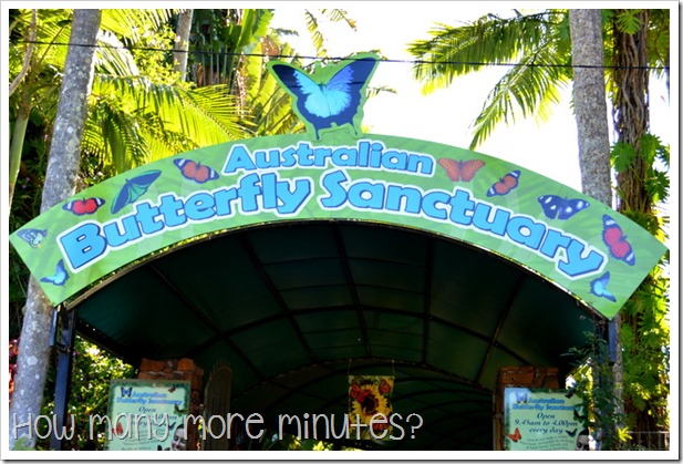 Australian Butterfly Sanctuary | How Many More Minutes?