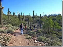 Beardsley Trail Lake Pleasant 007