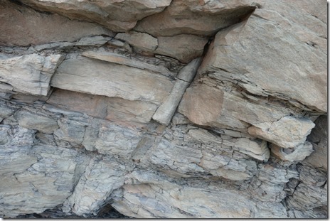 ca_parrsboro_joggins_fossil_cliffs4