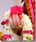 [flower for Krishna]