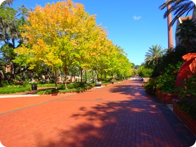 Florida State University