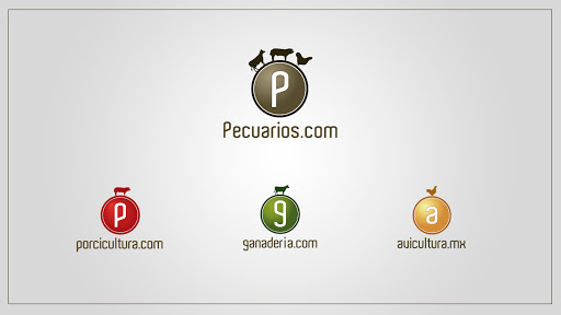 Pecuarios.com, León Guzmán s/n, Centro, 73800 Teziutlán, Pue., México, Servicio de marketing por Internet | PUE