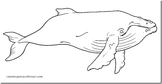 dibujos-ballenas-pintar- (9)