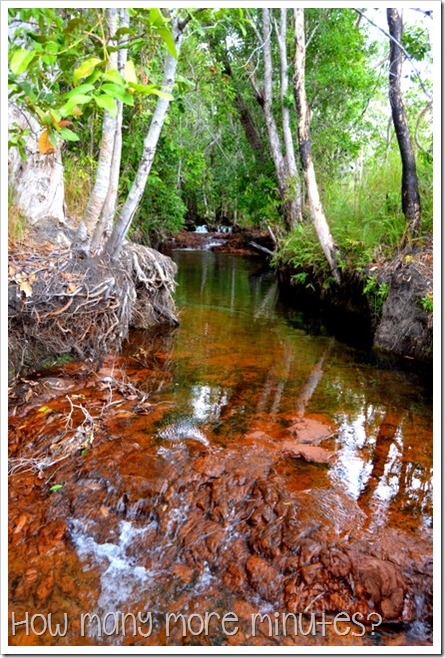 Buley Rockhole at Litchfield Nat'l Park | How Many More Minutes?