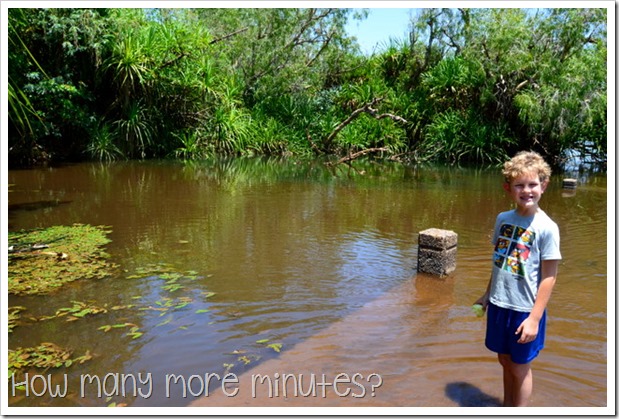 Ivanhoe Crossing | How Many More Minutes?