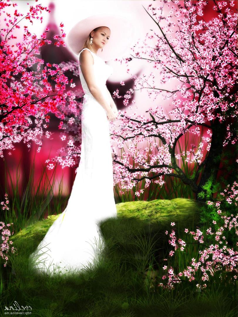 oriental lace wedding dress