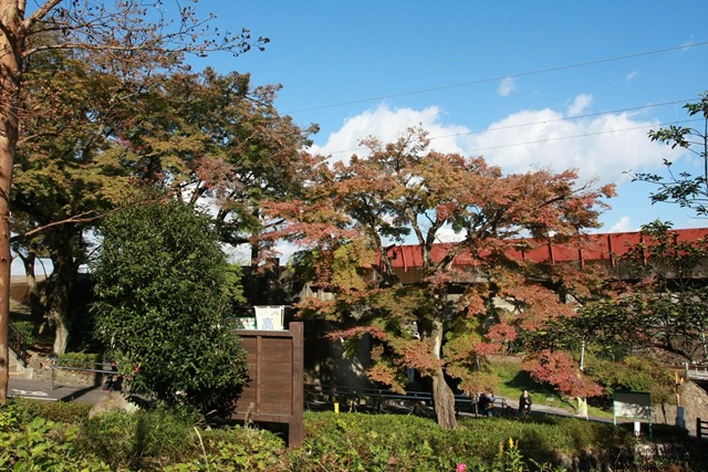 IMG_7940 IMG_7940