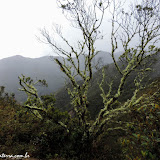Parque Podocarpus - Vilcabamba, Equador