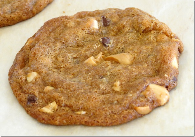 PB2 Chocolate Chip Cookies (Gluten Free)