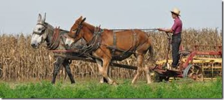 farmer-two-mule-team