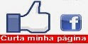 Curta Minha Fã Page