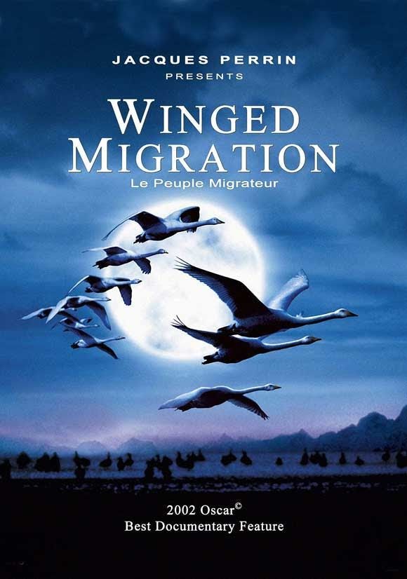 Nómadas del viento - Le peuple migrateur (2001)
