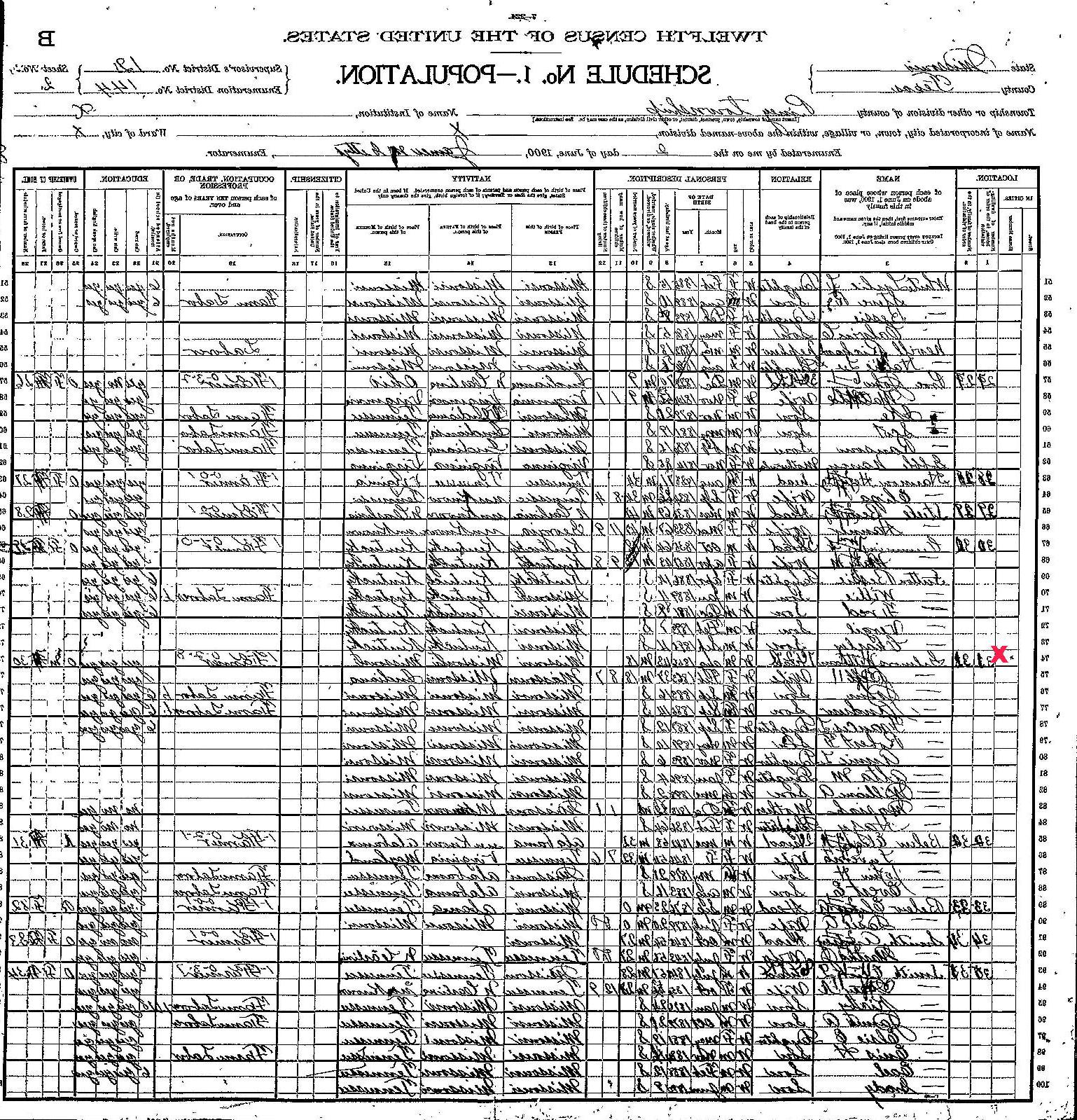 ISABELLE MCKINNEY, b. Feb 1863, Missouri; d. 1930. 1900 Census Texas County,