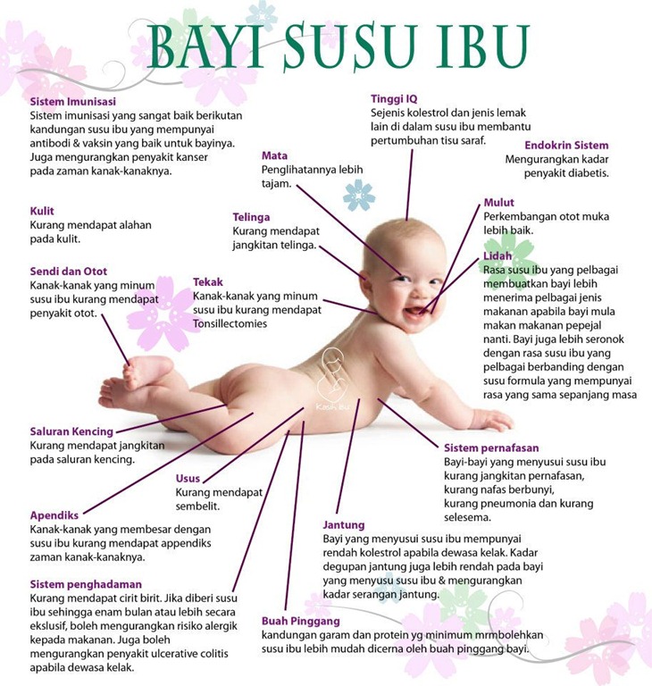 [kebaikan-susu-ibu8.jpg]