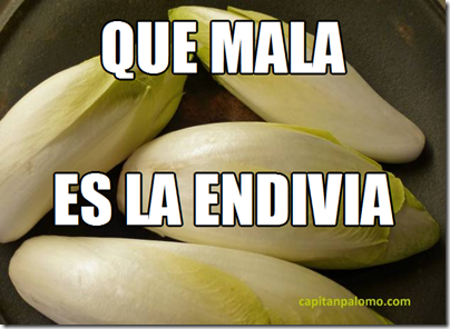 endivia_thumb.png