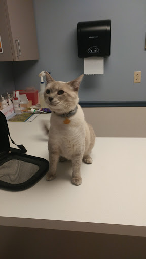 Animal Hospital «West Bearden Veterinary Hospital», reviews and photos