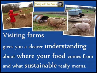Visiting farms gives you a clearer understanding about where your food comes from and what sustainable really means. Editorial blog post from RVing with the Rakis.