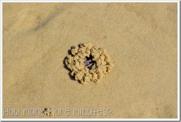 How Many More Minutes? ~ The Magical Beach in Dunalley, Tasmania