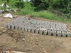 Bricks for building