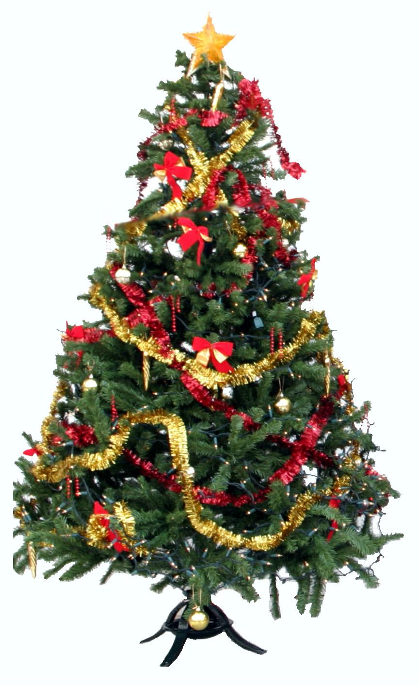 Humble Christmas Tree