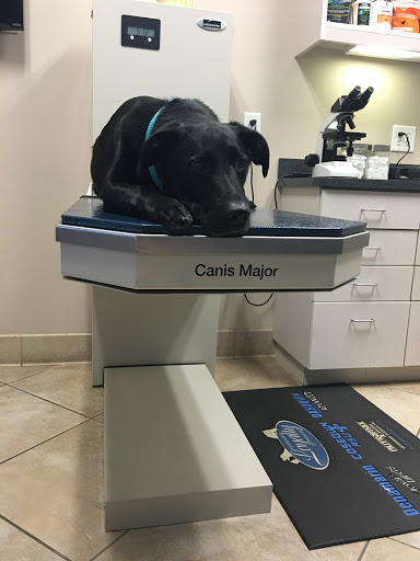 Animal Hospital «Dunwoody Animal Medical Center», reviews and photos