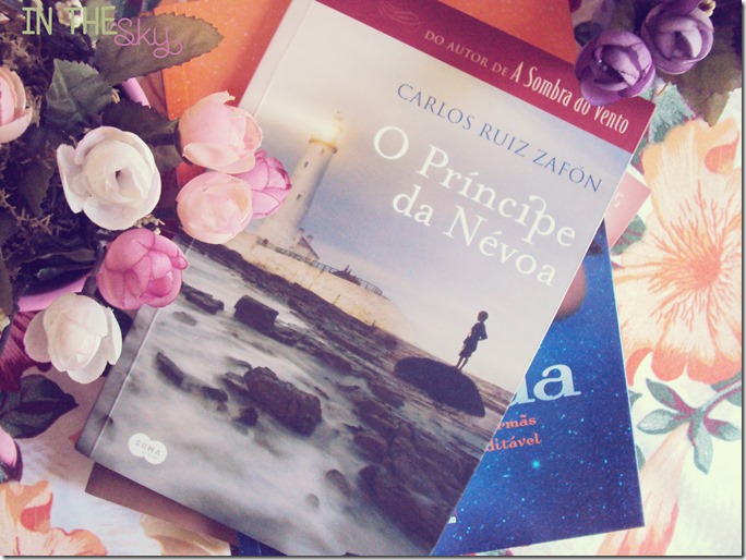 livros para ler em um dia 01