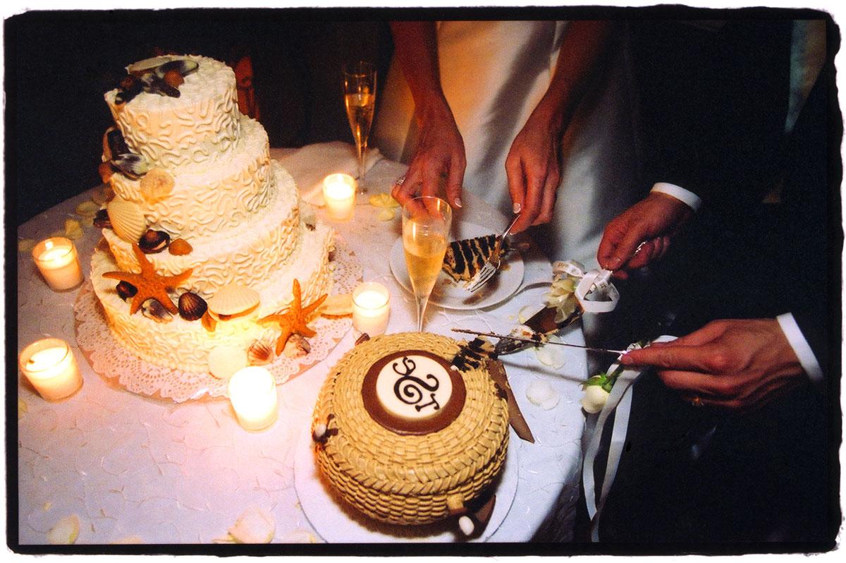 vineyard wedding cake