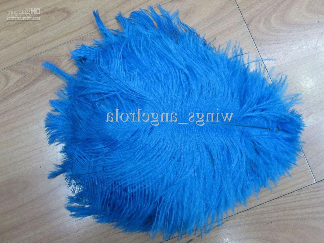 Wholesale - Ostrich feather