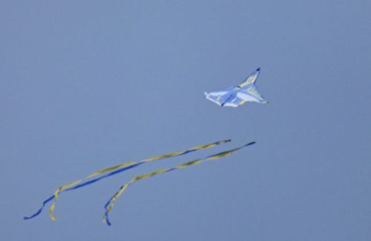 South Beach Campground, Kite Flying