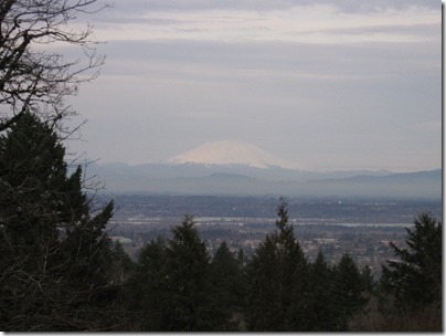 IMG_2375 View of Mount St. Helens from the Hoyt Arboretum at Washington Park in Portland, Oregon on February 15, 2010