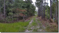 Fence by trail