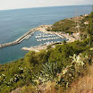 0128 le port de Cargese_JPG.jpg