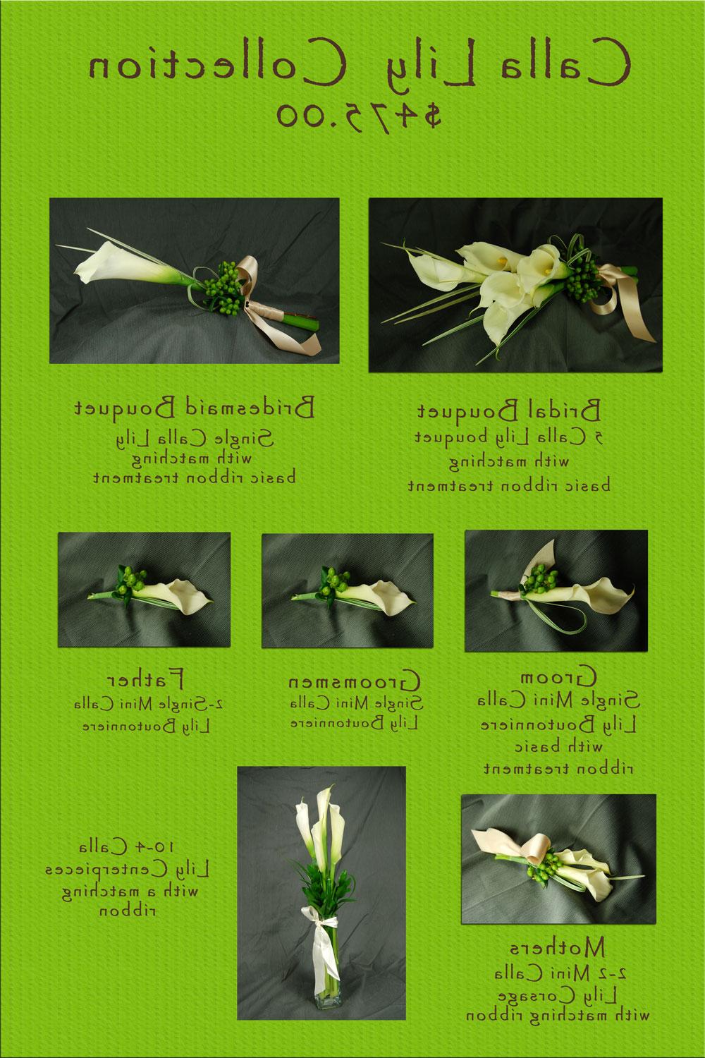 475-Cala-Lily-copy