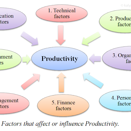 Eight Of Import Factors That Impact Productivity
