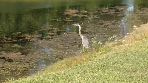 Golf Course «Dragon Ranch Golf Club», reviews and photos, 9488 Leavitt Rd, Elyria, OH 44035, USA