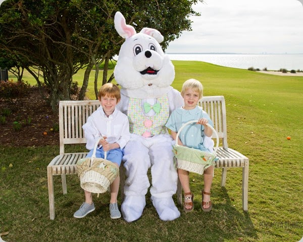Easter 2015-13-ZF-7555-71788-1-001-001