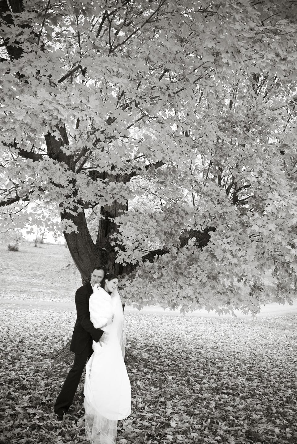 flowers layout at wedding