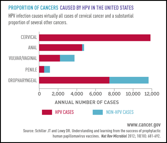 HPV_bar_graph