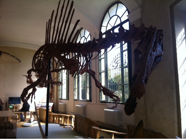 Mostra Spinosaurus