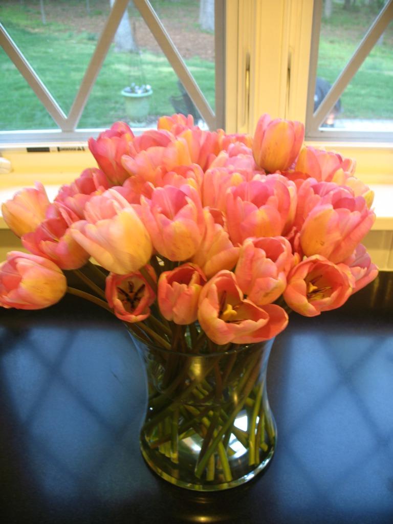 tulips bouquet wedding