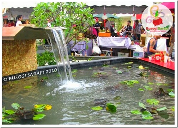 F.VALLEY WATER FEATURE © BUSOG! SARAP! 2010