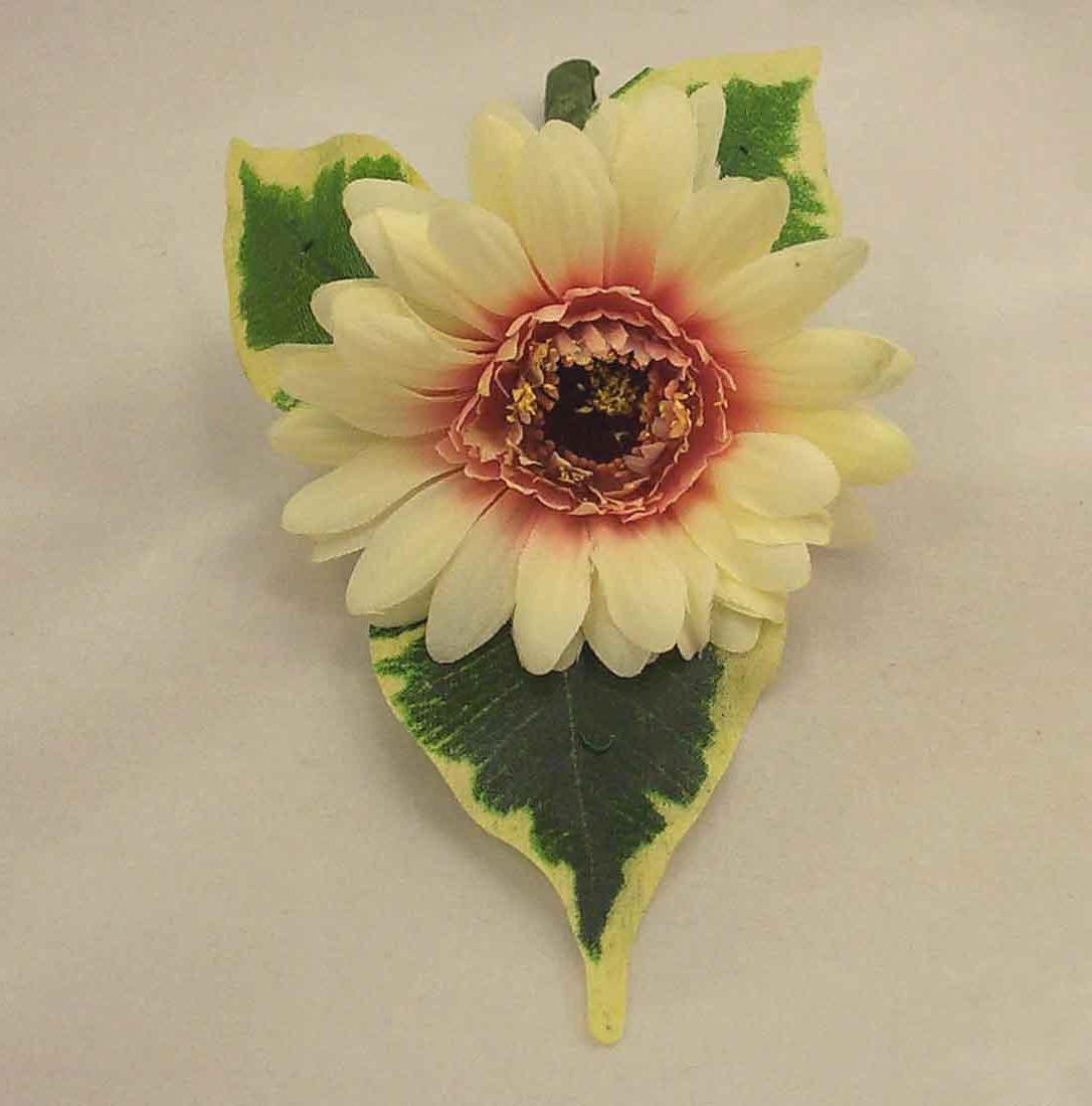 Ivory Gerbera Buttonhole