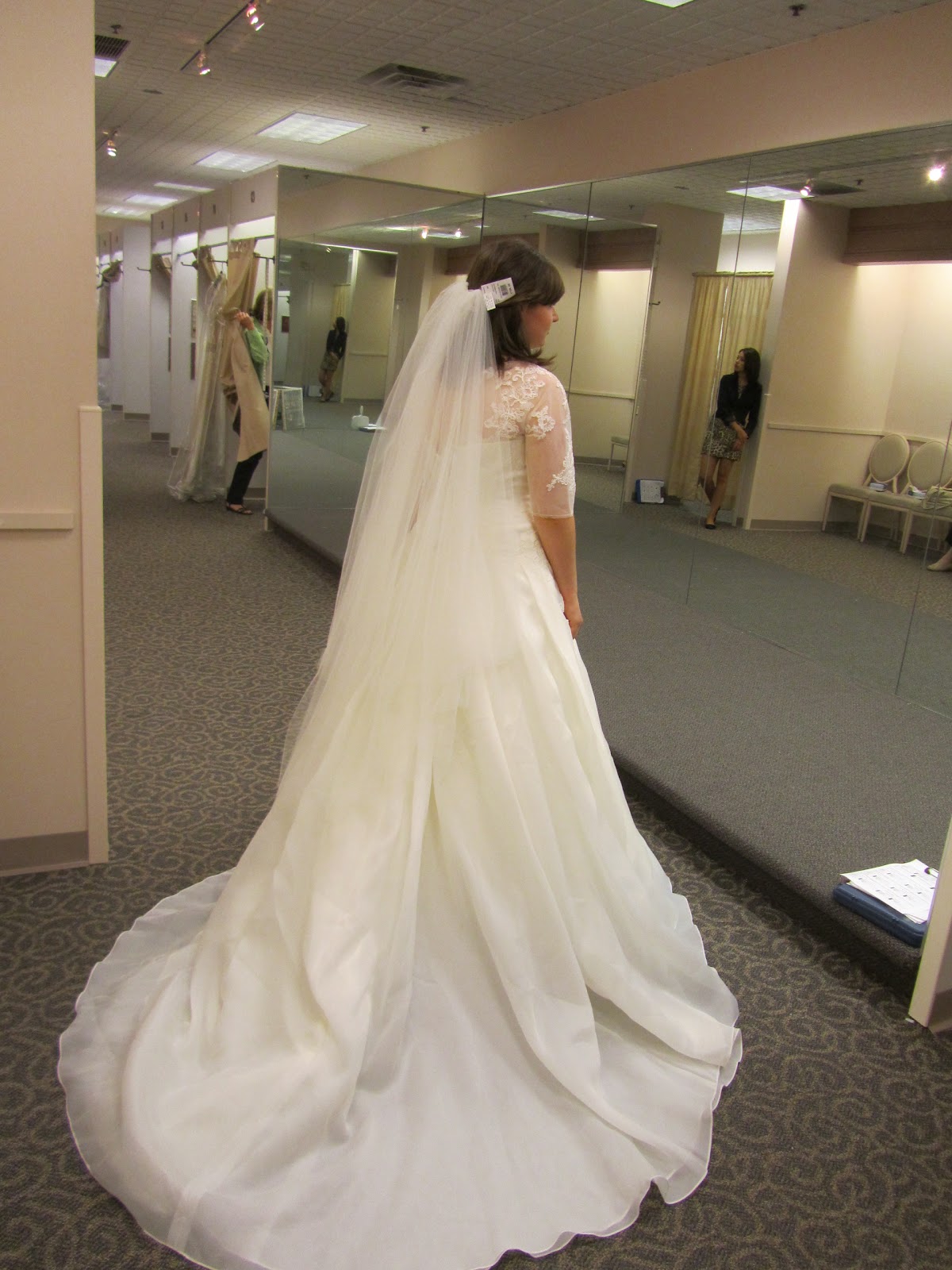 Saying No to the Dress : wedding chicago wedding dress Img 11904 IMG_11904